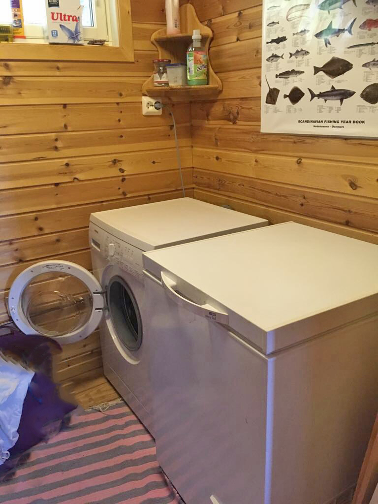 Waschmaschine und 2 Kühltruhen