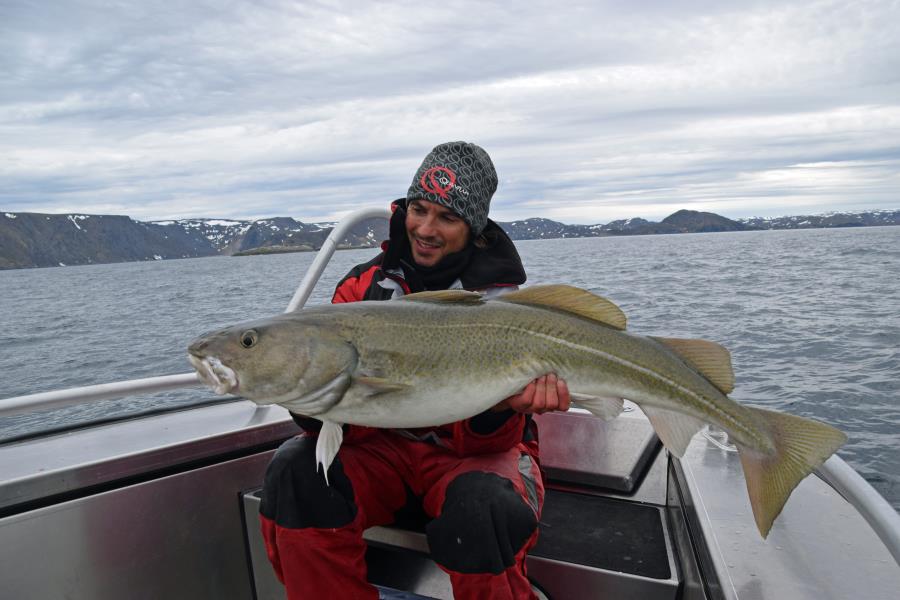 Barents Sea