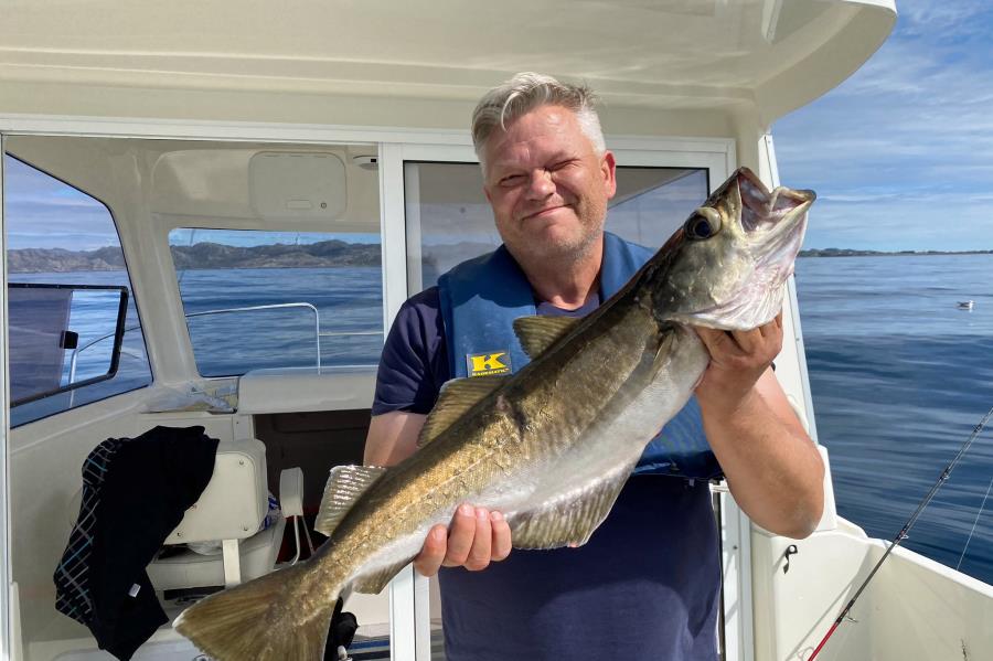 prächtige Fische aus dem Listafjorden